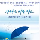 사랑은 비를 타고 이미지