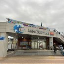 군산수산물종합센터 | 🦀 군산 수산물종합센터에서 싱싱한 꽃게 구매 &amp; 먹방 후기(내돈내산)