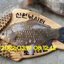 신원대로-3 이미지