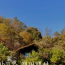 단풍펜션 이미지