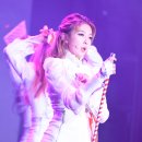 다미 이미지