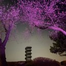 갯골생태공원(캠핑장) 이미지