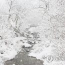 옥수골 - 고성군 | 옥수골
