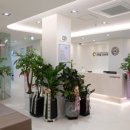 사계절신경외과의원 이미지