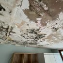 동홍동 유정빌라 이미지