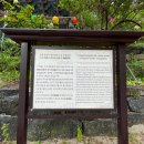 영천 봉림사 영산회상도 및 복장유물 이미지