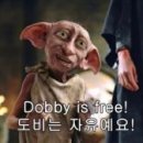 햅시바 이미지