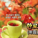 좋은글＞ 토마토의 효능 이미지