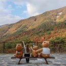 보현산자연휴양림 산 이미지