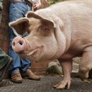 개성시대 이미지