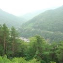 세동마을 이미지