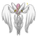 스랍(seraphs) Daum카페