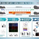 김치=다이어트 식품?…장 건강도 챙기자 이미지