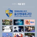 레어피싱 이미지