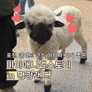 마이호니