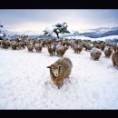 아주특별한여행 이미지