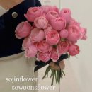 컴포즈커피다산현대스페이스점 | 구리 남양주 다산웨딩부케 추천, 예비신부님들이 많이 찾는 믿고 맡길 수 있는 꽃 다산소진 소운스플라워