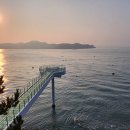 진도종로약국 | 전라남도 해남군 약국 추천 BEST 6곳, 열린 약국, 토요일, 일요일, 공휴일, 심야