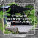 설래림야영장 이미지