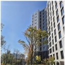 정부동산공인중개사사무소 이미지