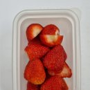 대박4농장 이미지