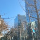 경천애인2237 여의도점 평일 점심 한우등심 불고기 내돈내산 후기(콜키지프리 한우식당)
