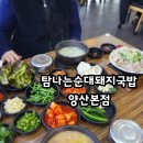 웅상대로 | 양산 맛집 추천 양산 돼지국밥 맛집 탐나는순대돼지국밥 양산본점 얼큰 구수한 돼지국밥 후기