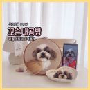 명륜초등학교 | 반려견장례 그 후, 원주 꼬순내공방에서 그리움을 담아 반려동물초상화를 제작했어요.