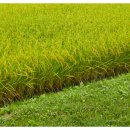 신농종합기계 이미지