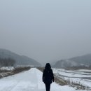 쩐다육