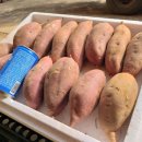 효정농장 이미지