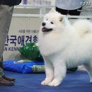 바하 이미지