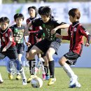 부양초등학교 이미지