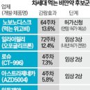 후발주자