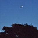 요가MOON 네이버블로그