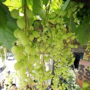 중흥2동 주민센터 이미지