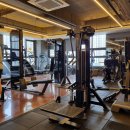 피트니스온 은계점 | 은계지구 24시간 헬스장 피트니스온 은계점 3개월차 ing