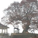 성당포구 이미지