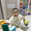 쓰담에듀 | [장난감] 7~8개월 아기에게 맞춘 몬테소리 교구 🧸 피카비 플레이키트 솔직 후기