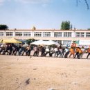 영천남부초등학교 이미지