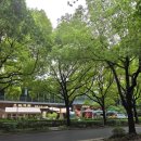 엔젤영어학원 | 상해 주재원 와이프, 아이 여름 방학 동안에 일과( HQIS 여름 방학 캠프.)