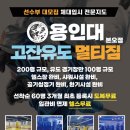 용인대 고잔유도멀티짐 본오점 네이버블로그