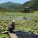 상리공원 이미지