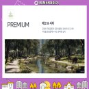 의료법인 광혜의료재단 이미지