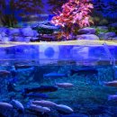 간전중앙로 이미지