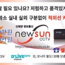 신태양정보통신