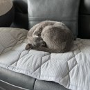 명성로179번길 이미지