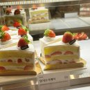 듀레베이커리 | 청주 커넥트현대 케이크맛집 듀레베이커리 딸기케이크 구매 후기