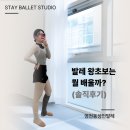 컴퓨터 기초(왕초보) | [동탄발레학원] 발레 왕초보는 뭘 배울까?(솔직후기)
