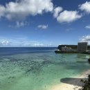 씨유양산남부퍼플점 | [괌여행 3일차] 인퓨전 커피/마이티퍼플 아사이볼/괌 남부투어 스페인광장/아가냐대성당/괌박물관/피시...